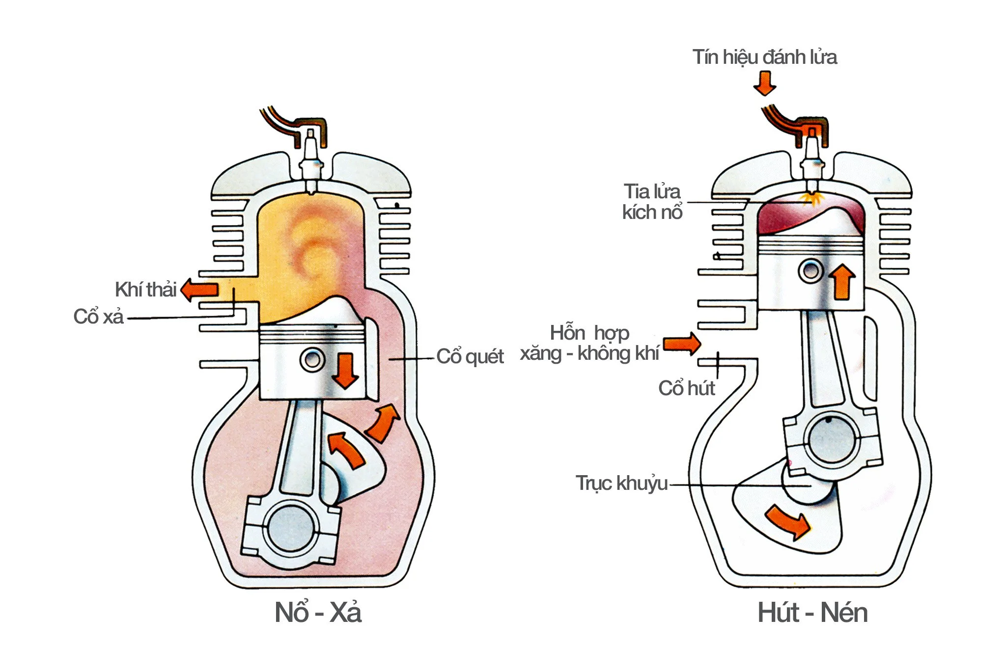 Động cơ Diesel